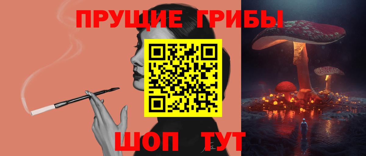 Галлюциногенные грибы Cubensis  Вход с VPN  Шебекино  Псилоцибиновые грибы GOLDEN TEACHER 